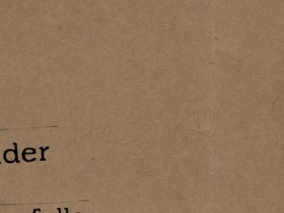 Placeholder, Everything Falls Into Place, Lucky Star, Lane Division