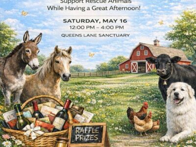 Queen's Lane Sanctuary Raffle & Auction