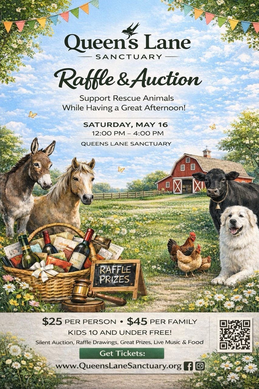 Queen’s Lane Sanctuary Raffle & Auction