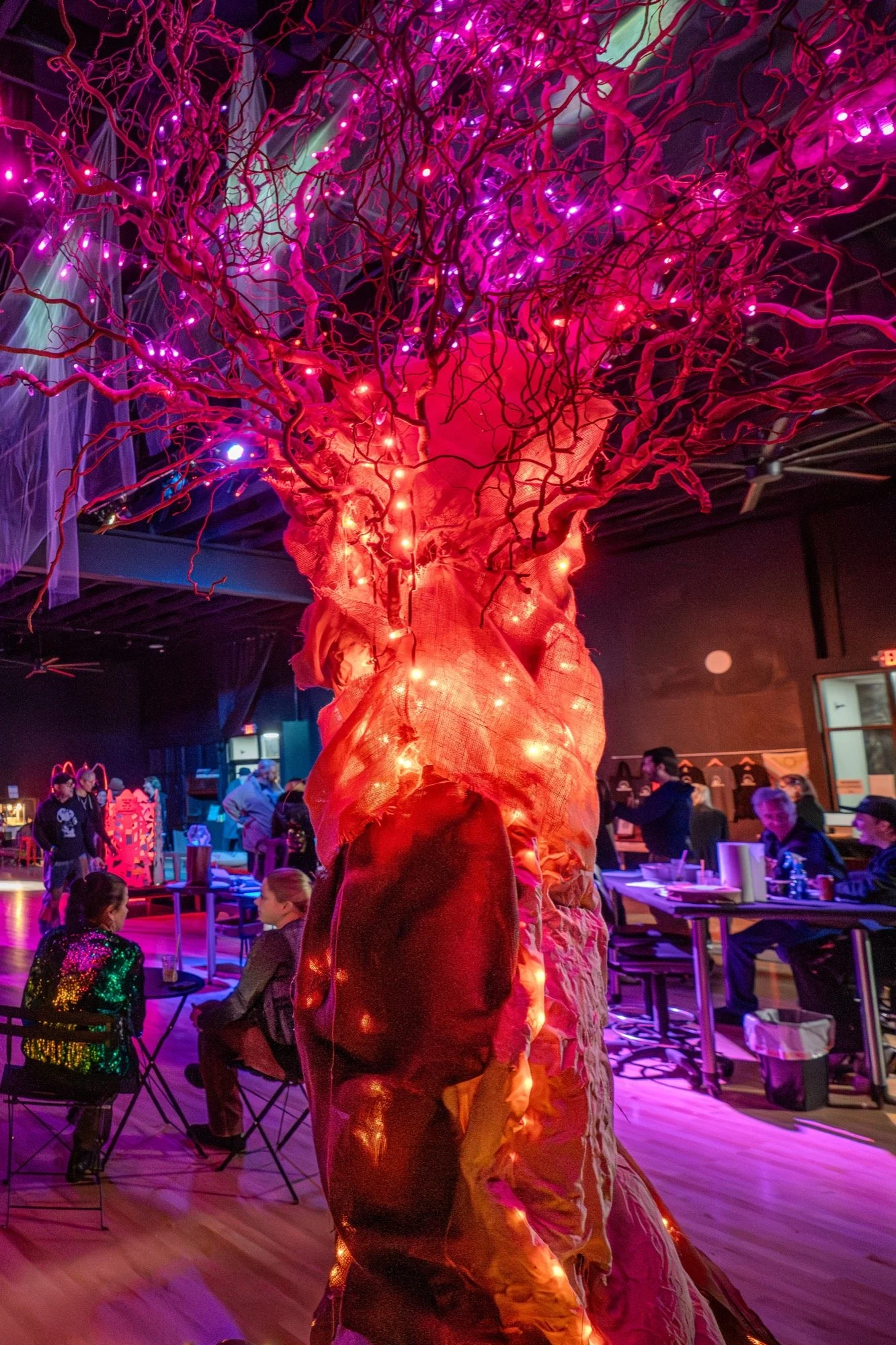Wonderstump photo 4