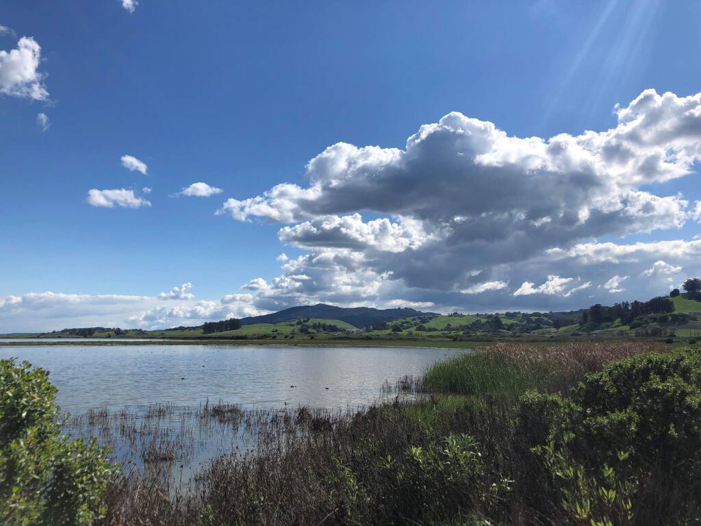 Petaluma Wildlife & Natural Science Museum photo 3