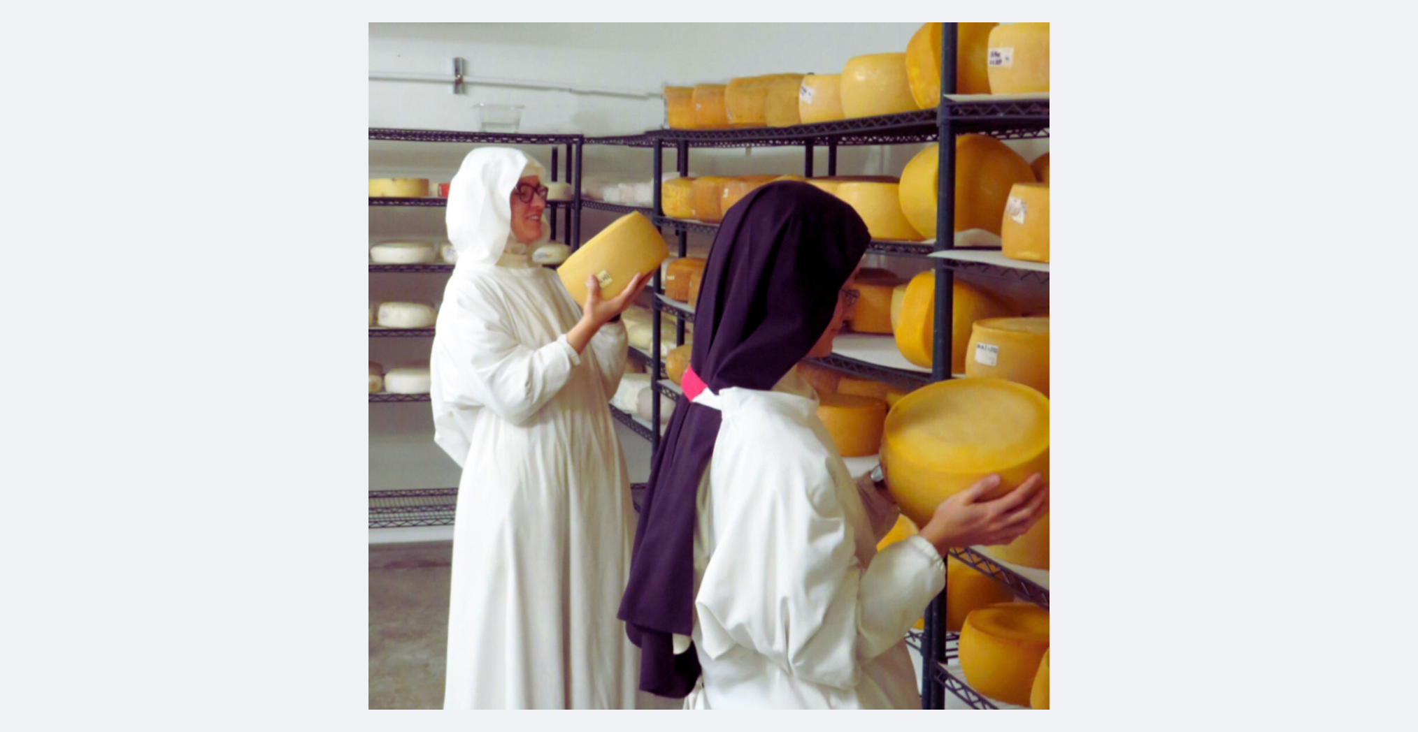 California Cheese Trail photo 3