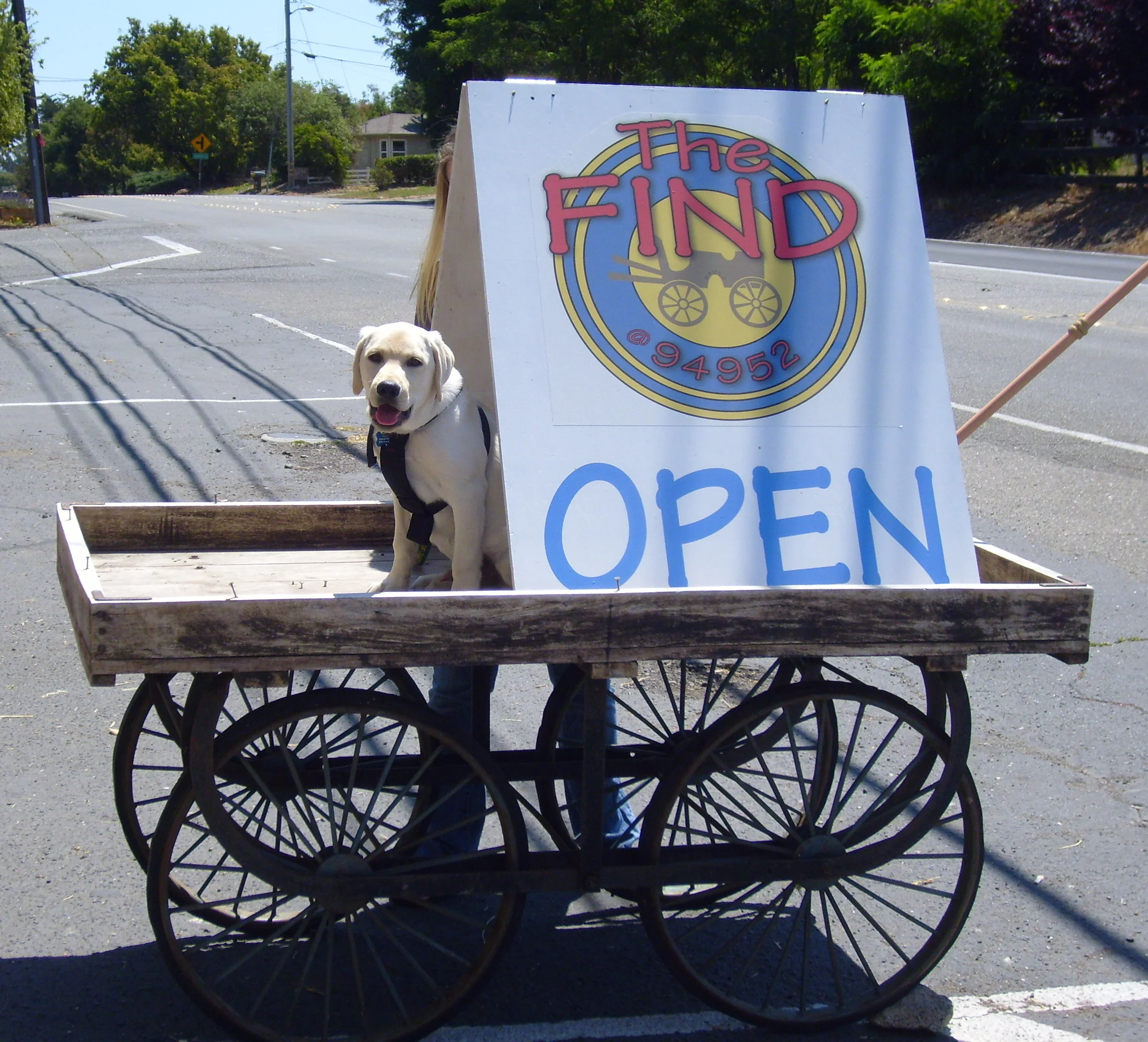 The Find photo 3
