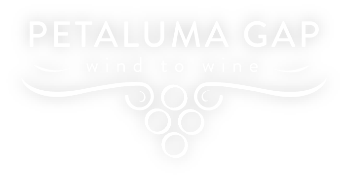 Petaluma Gap Wine Country Drive photo 5