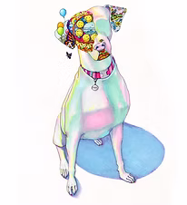 Oli Gallery