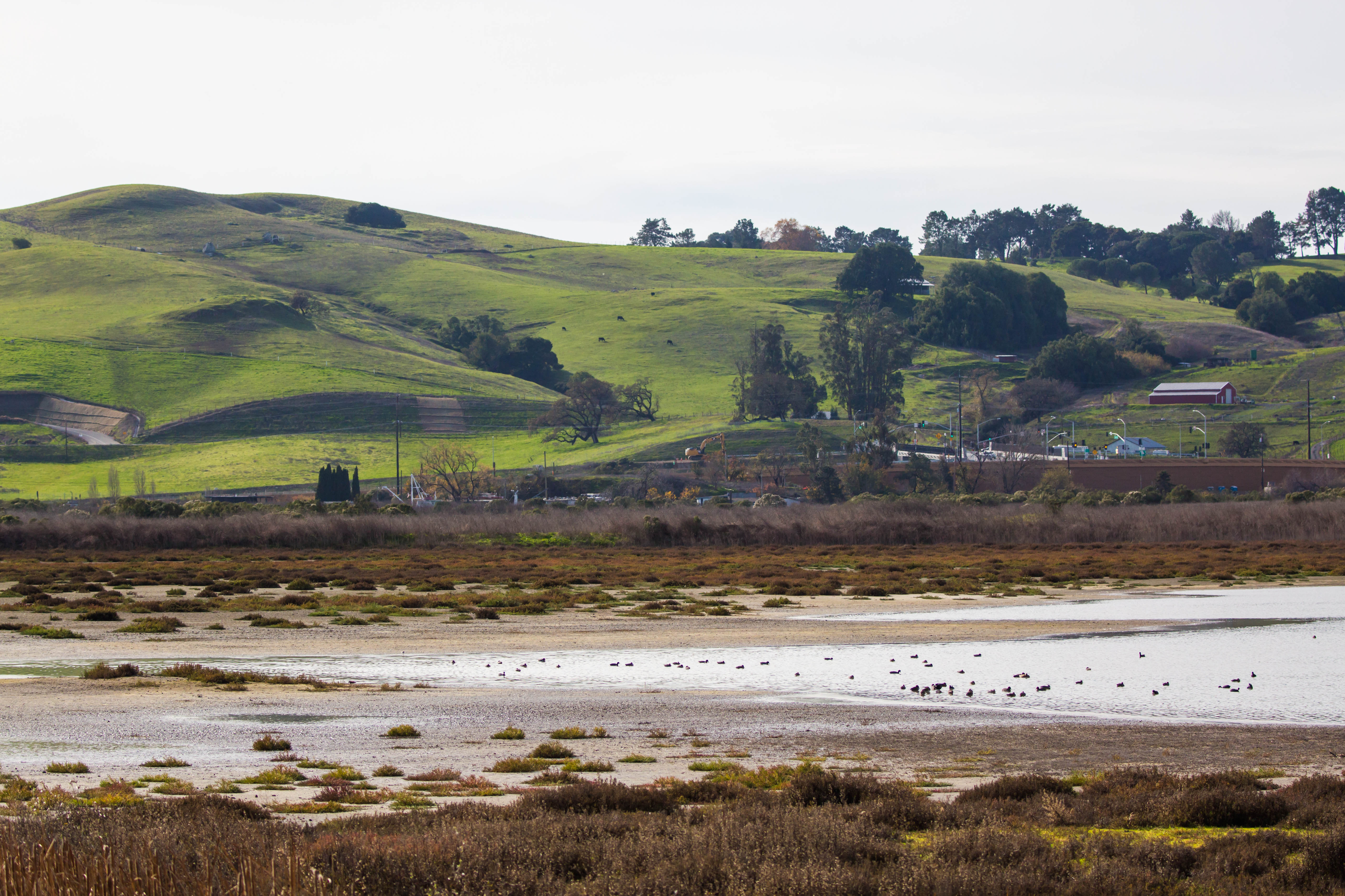 Shollenberger Park