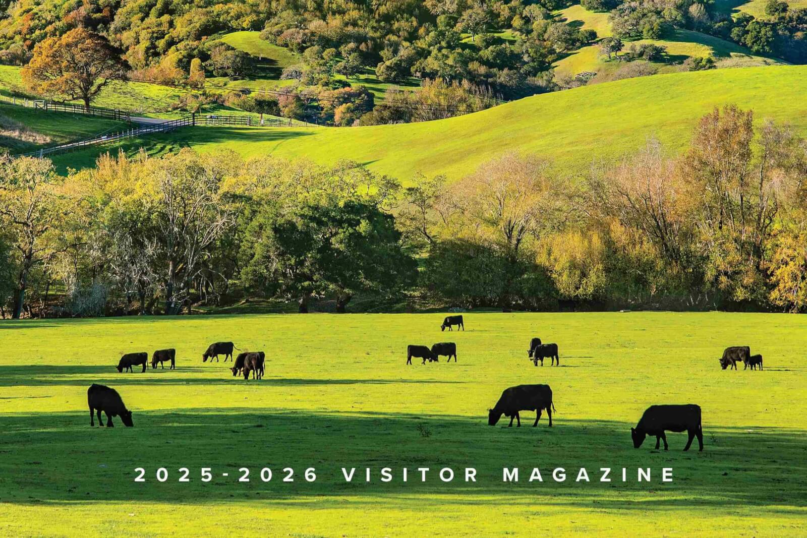 Petaluma Visitor Center photo 4