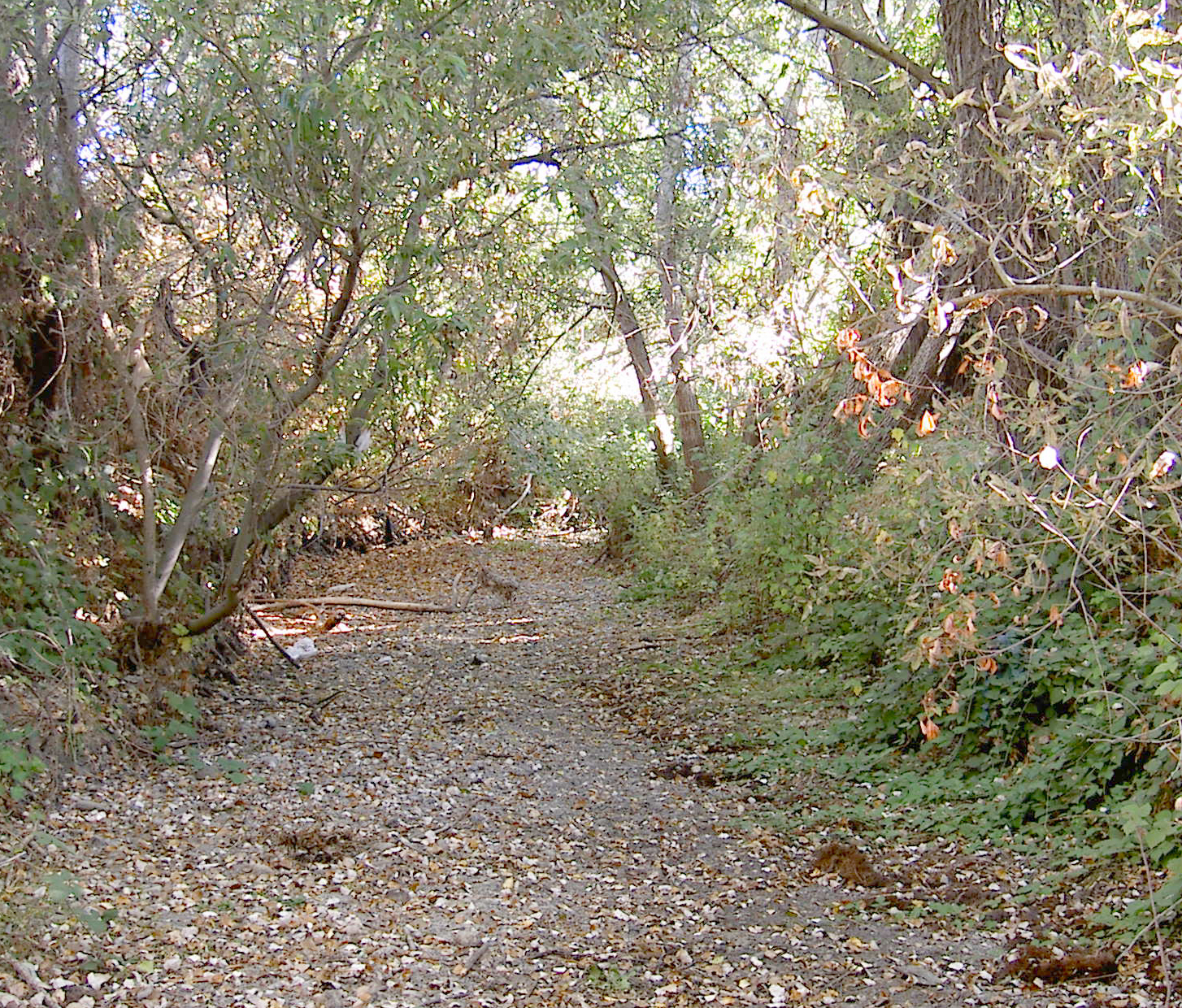 Arroyo Park
