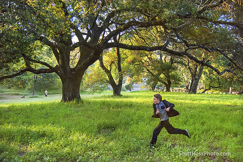 Oak Hill Park