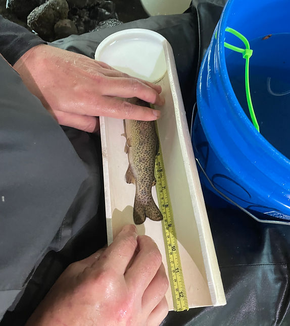 United Anglers of Casa Grande High School Hatchery photo 4
