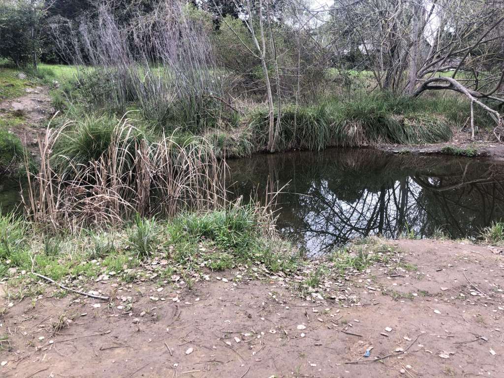 Westridge Open Space