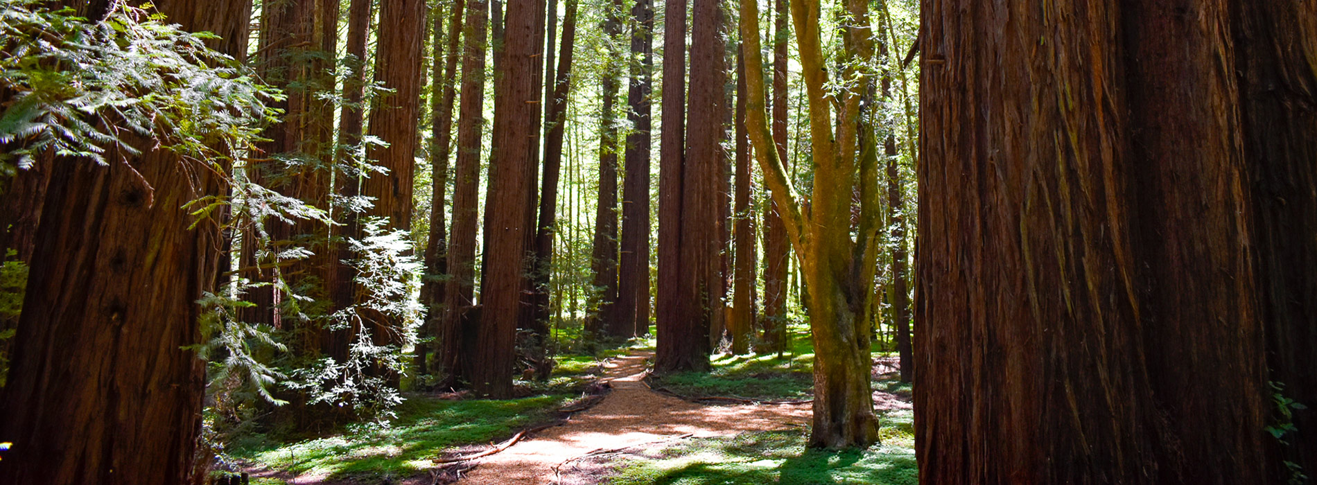Helen Putnam Regional Park photo 4