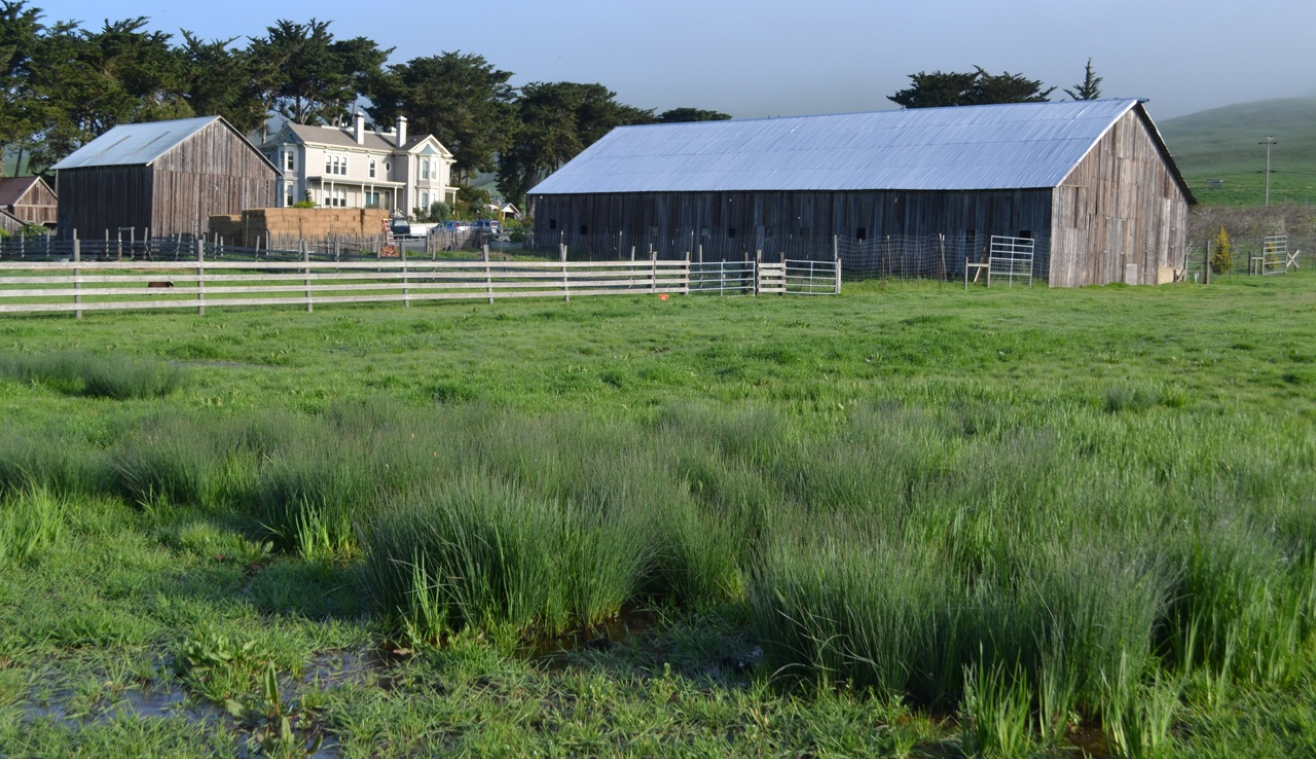 Chileno Valley Ranch photo 2