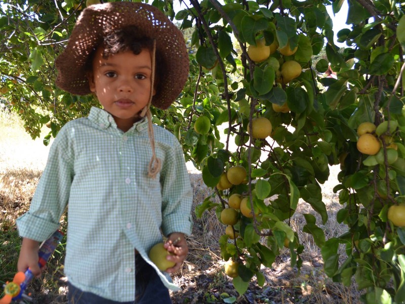 Chileno Valley Ranch photo 4