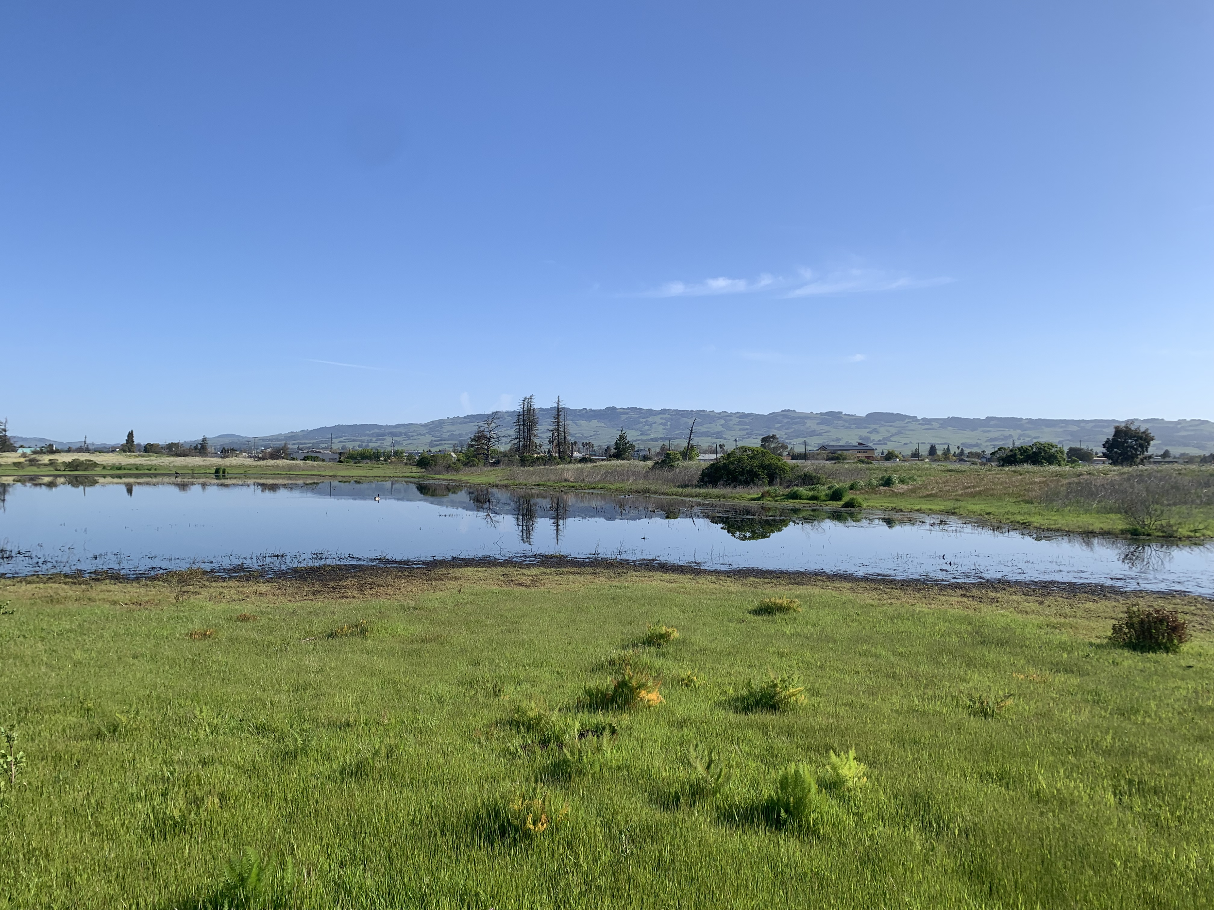 Petaluma River Park photo 5