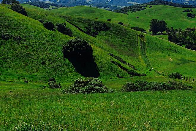 Lynch Creek Trail photo 5